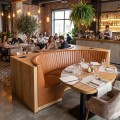 CATIE / CAT 01